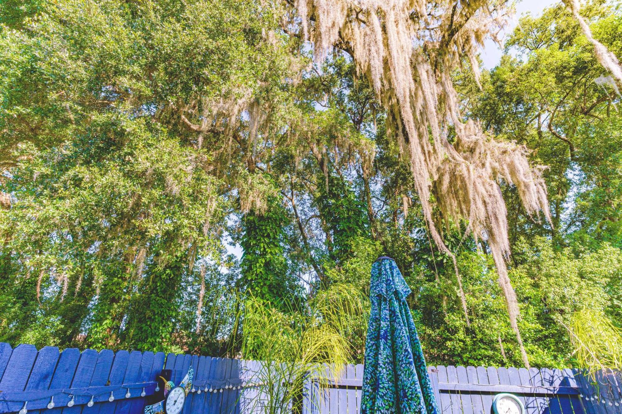 The Estate At Mt Dora Hotel Mount Dora Bagian luar foto